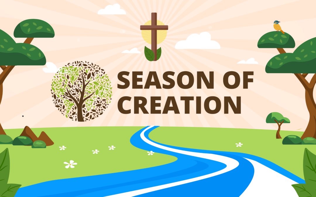 Pope’s message for World Day of Prayer for the Care of Creation?