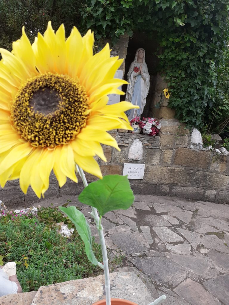 Artificial sunflowers dominate the grotto at Our Lady of Lourdes church, Saltburn.