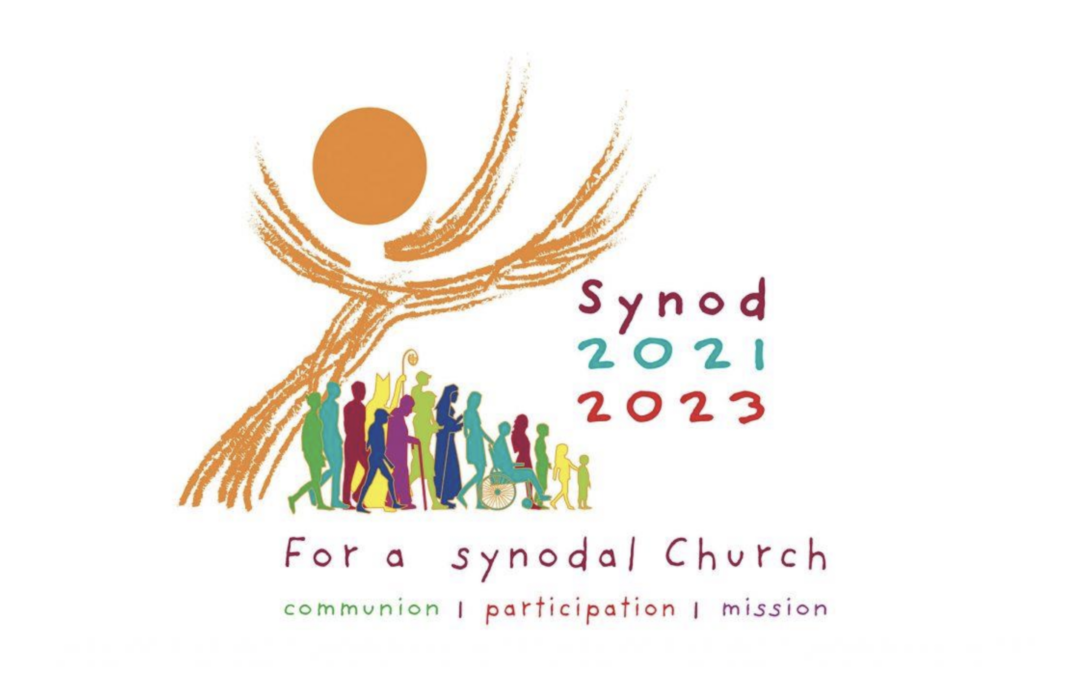 Final diocesan synod document published