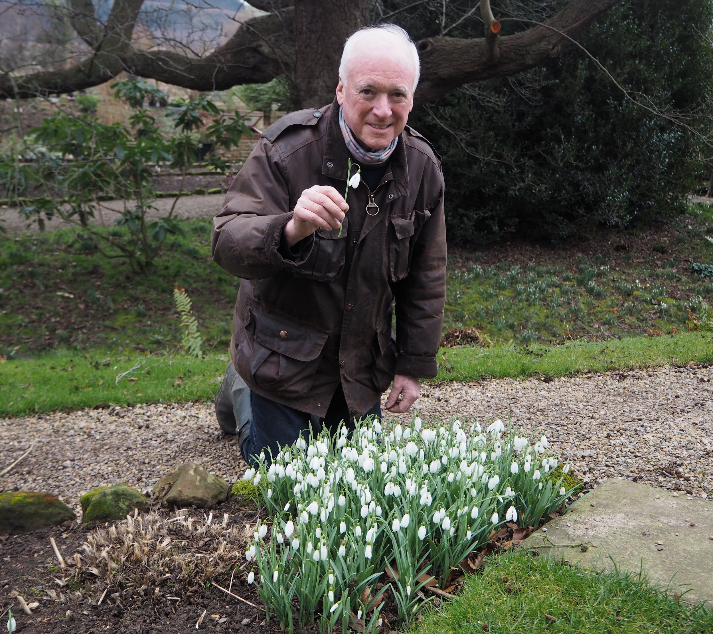 Mike Heagney with some of the 300 varieties of snowdrop in Tudor Croft Gardens