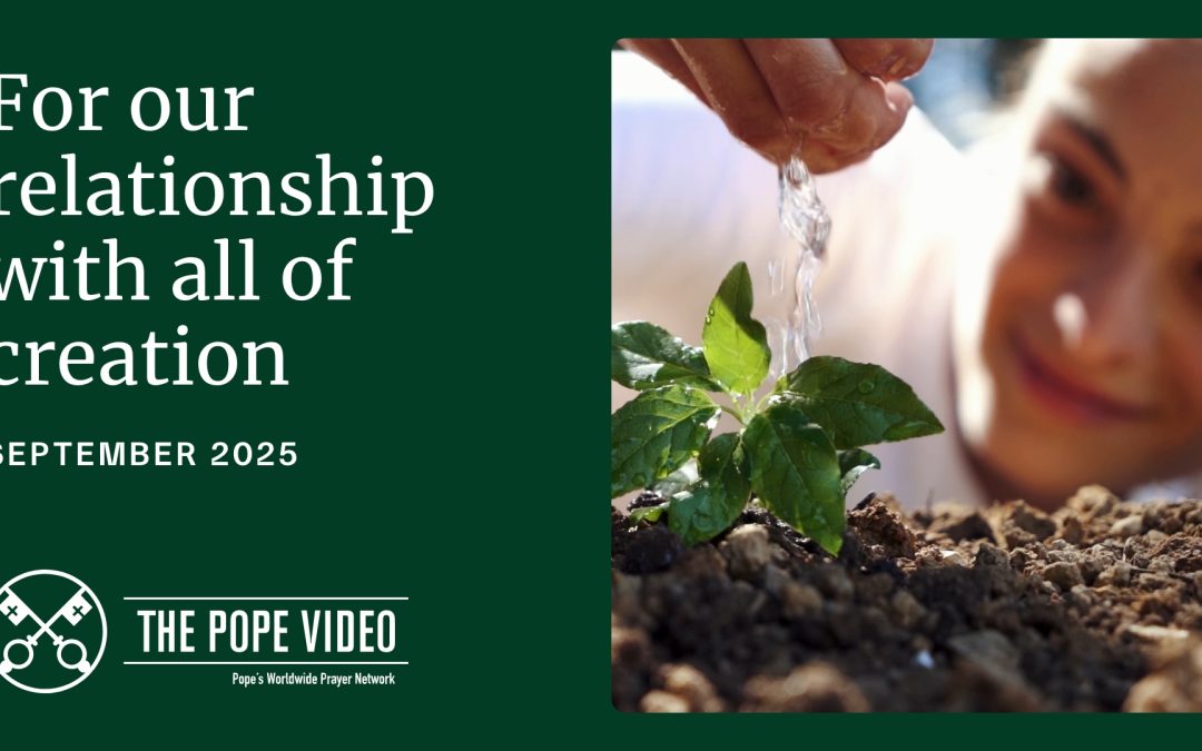 Pope: ‘All creatures worthy of love and respect’