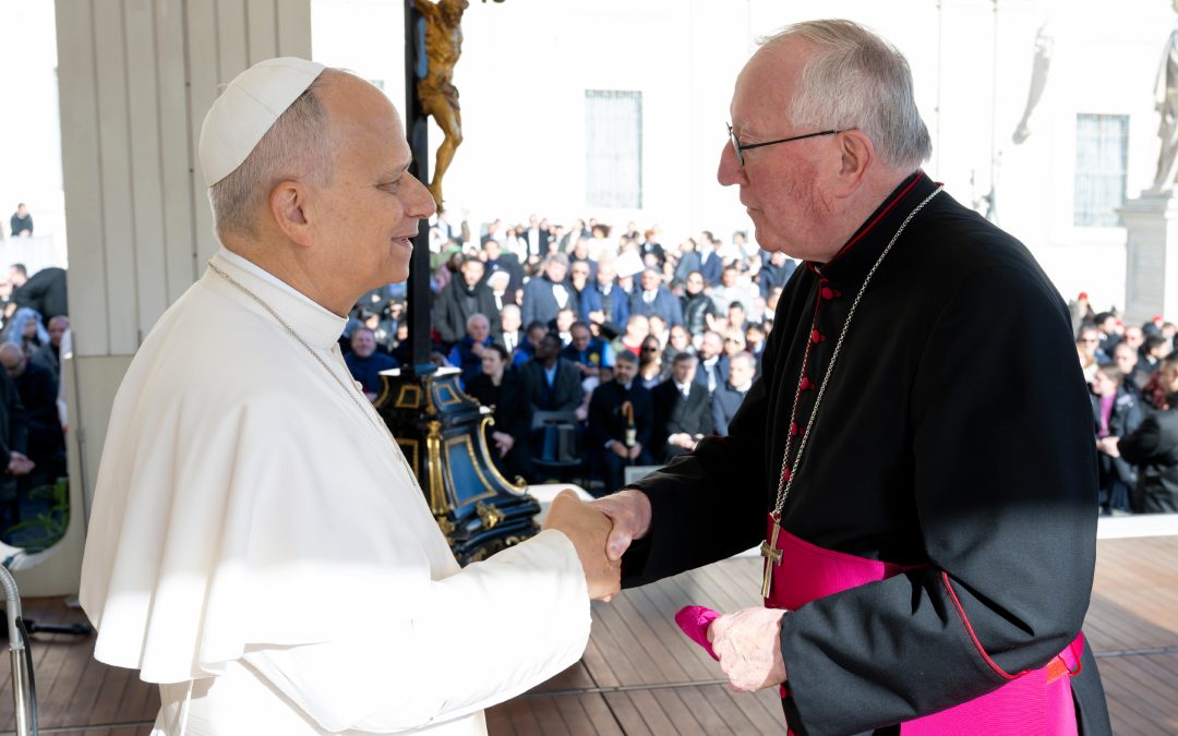 Bishops meet Pope Leo after audience